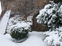 lodineve (132)